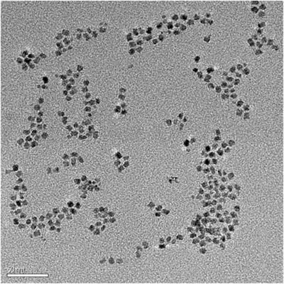 Modifying aluminum phthalocyanine with quantum dots to promote cellular uptake and enhance the efficacy of anticancer photodynamic therapy